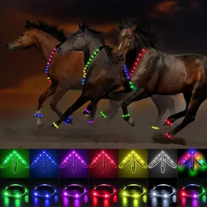 15 Pcs 7 Colors LED Horse Breastplate Collar and Leg Band Set USB Rechargeable Light up Adjustable Safety Gear LED Horse Harness Tack Add Visibility Safety for Night Riding