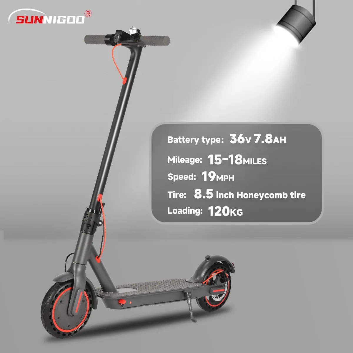 350W Electric Scooter