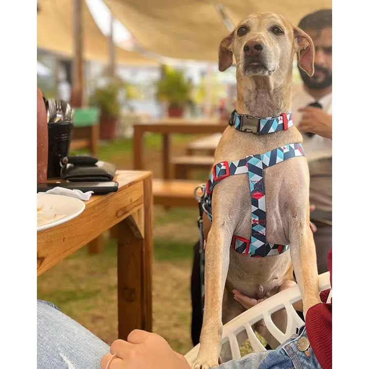 A a Pets' Step-in Harness for Dogs & Cats Geometric Design
