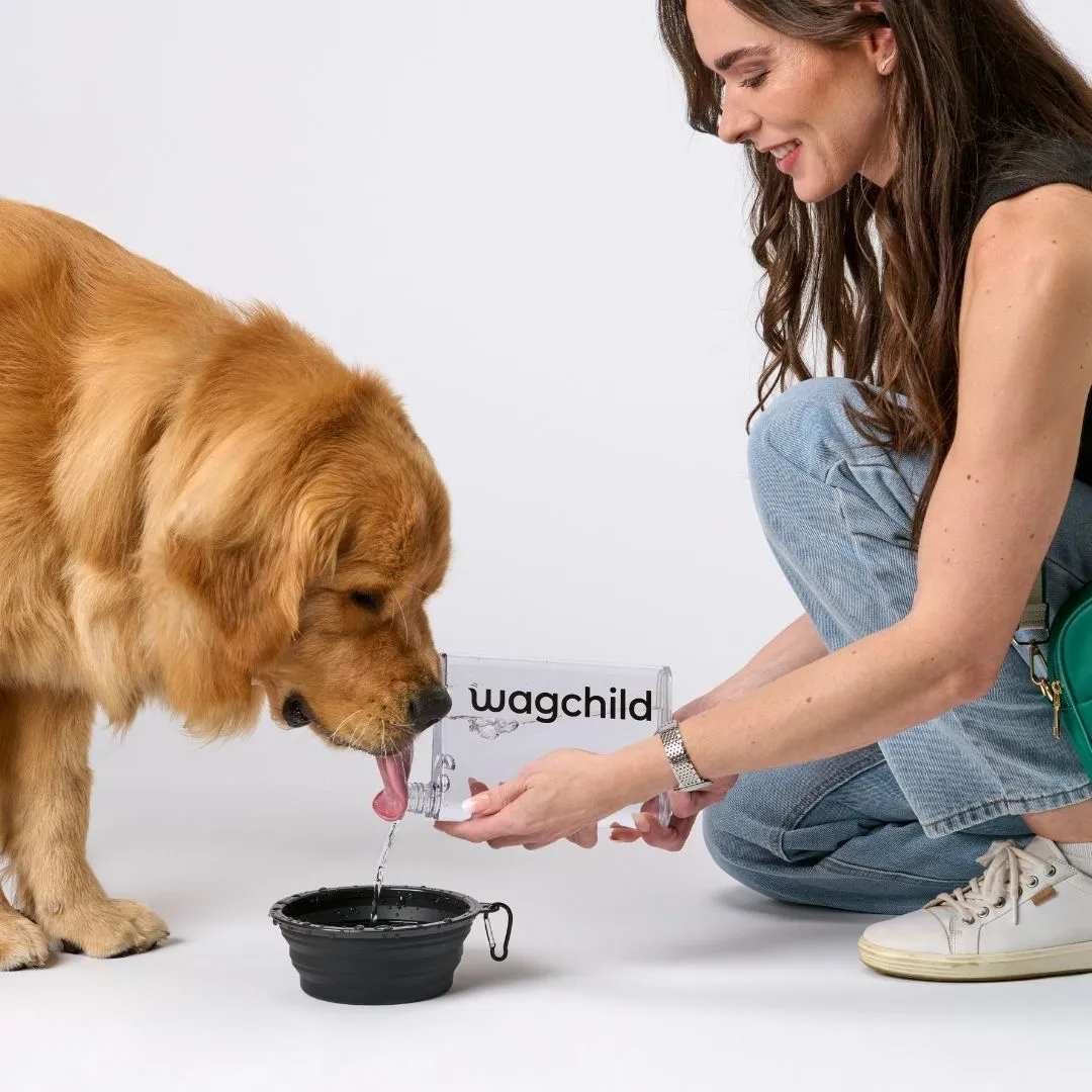 A5 Flat Water Bottle for Dogs