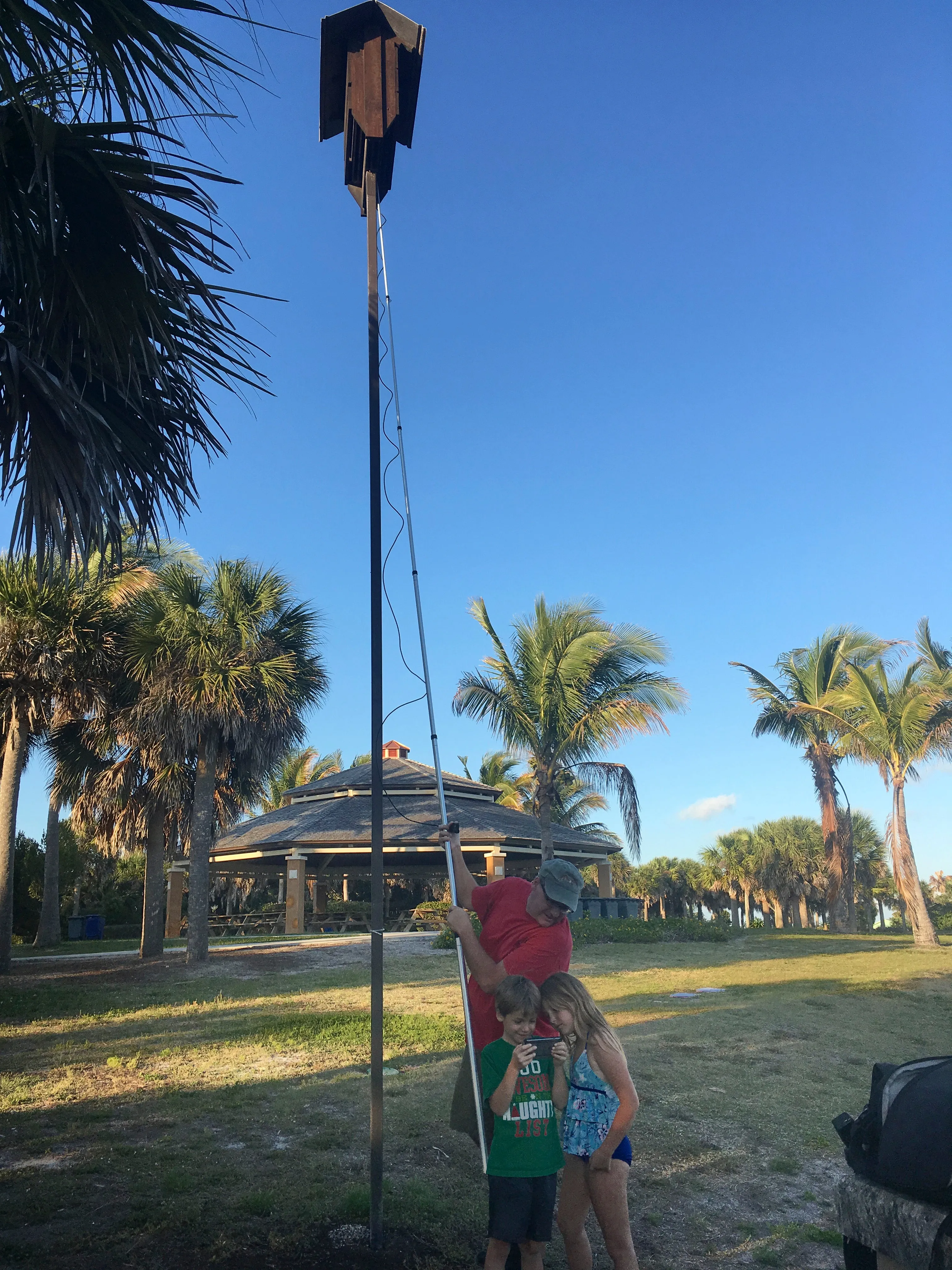 Acoustic Microphone Pole