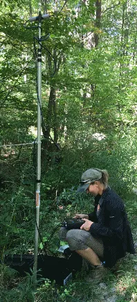 Acoustic Microphone Pole