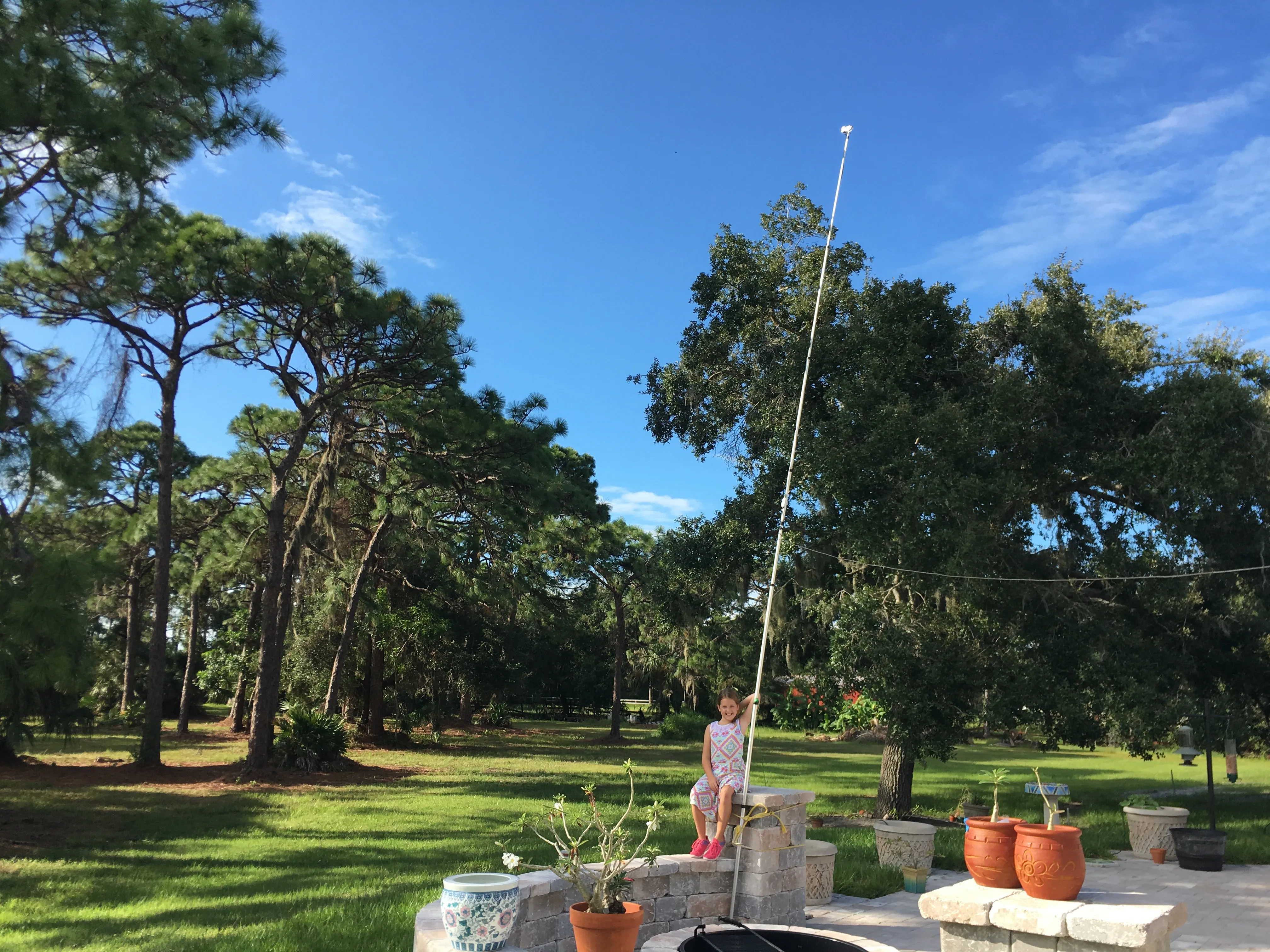 Acoustic Microphone Pole