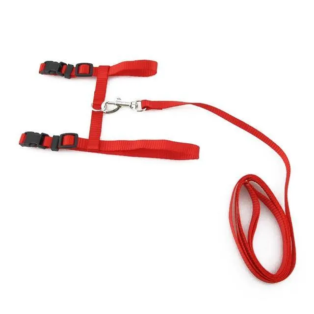 Adjustable Cat Dog Collar Belt