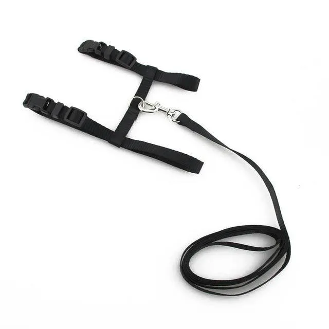 Adjustable Cat Dog Collar Belt