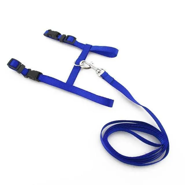 Adjustable Cat Dog Collar Belt