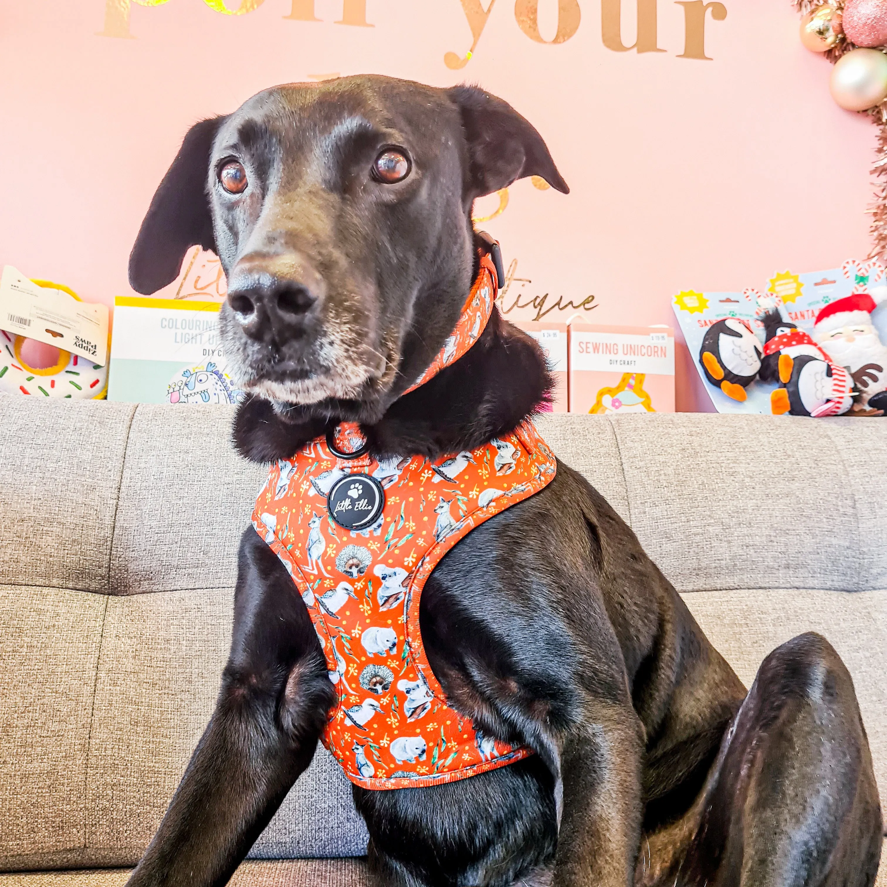 Adjustable Dog Harness | Aussie Animals