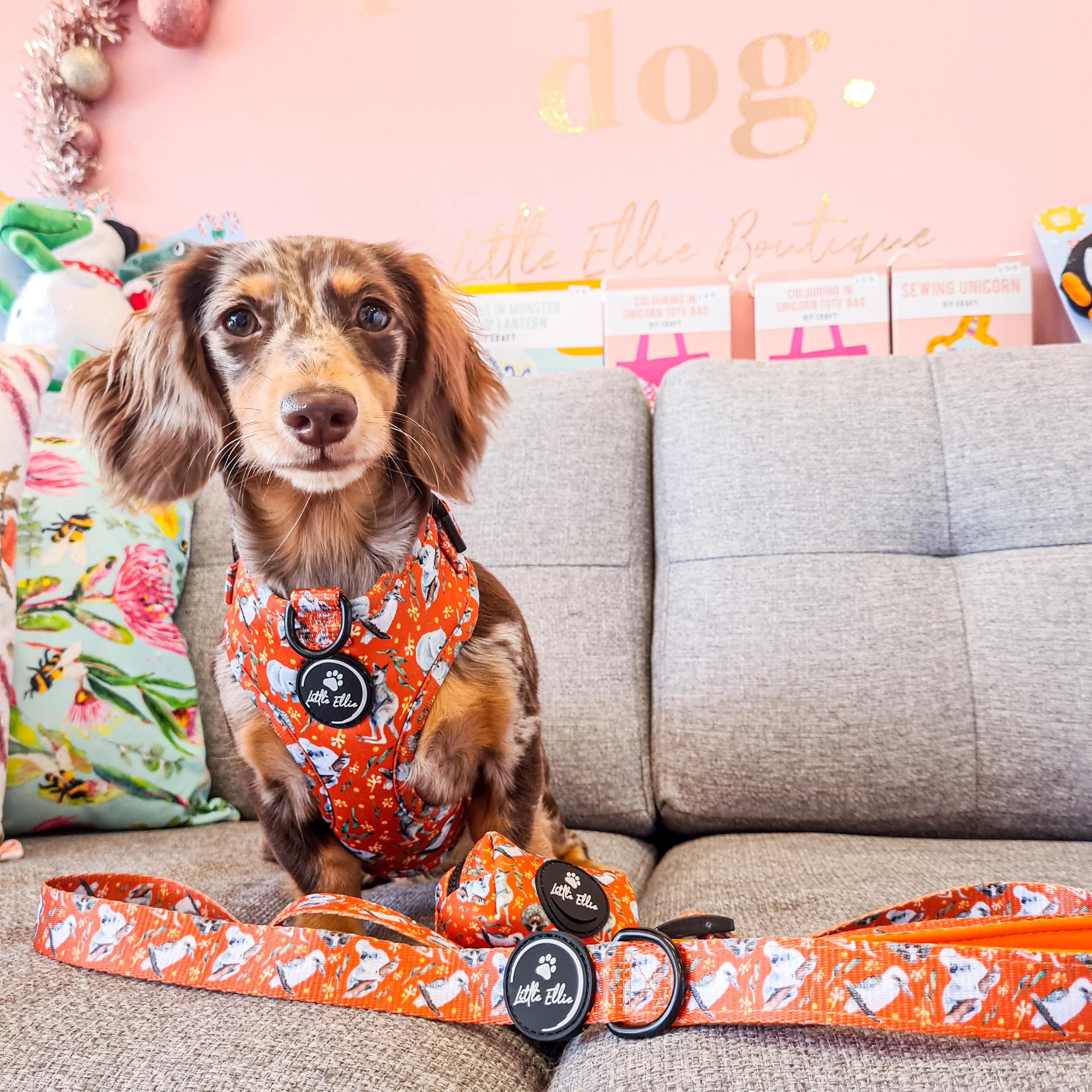 Adjustable Dog Harness | Aussie Animals