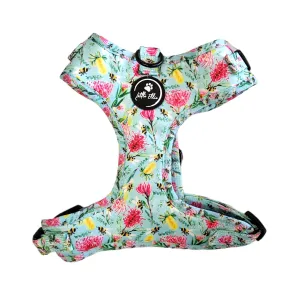 Adjustable Dog Harness | Native Bees