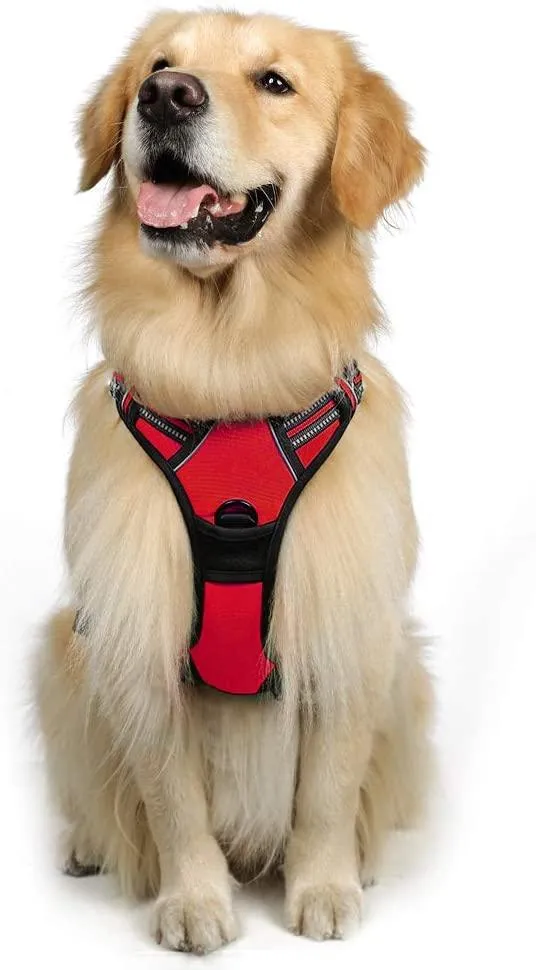 Adjustable No-Pull Pet Harness