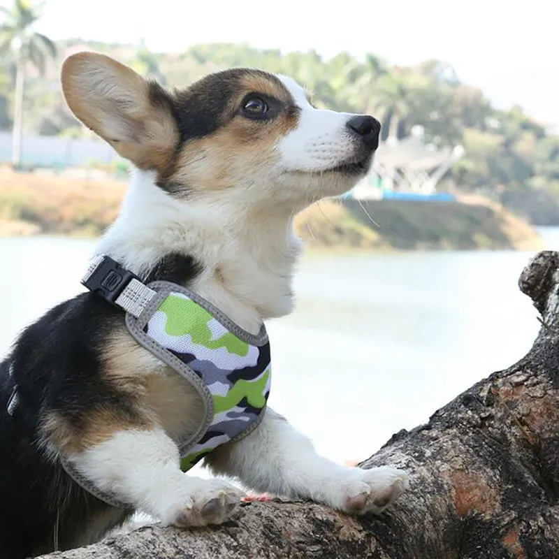 Adjustable Reflective Dog Walking Harness