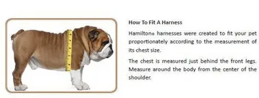 Adjustable Step-In Harness (Sky Blue, 10"-16") | Hamilton