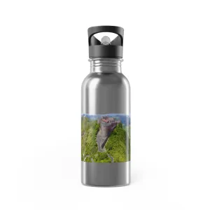 Adventure Travel Stainless Steel Water Bottle with Straw - 20oz