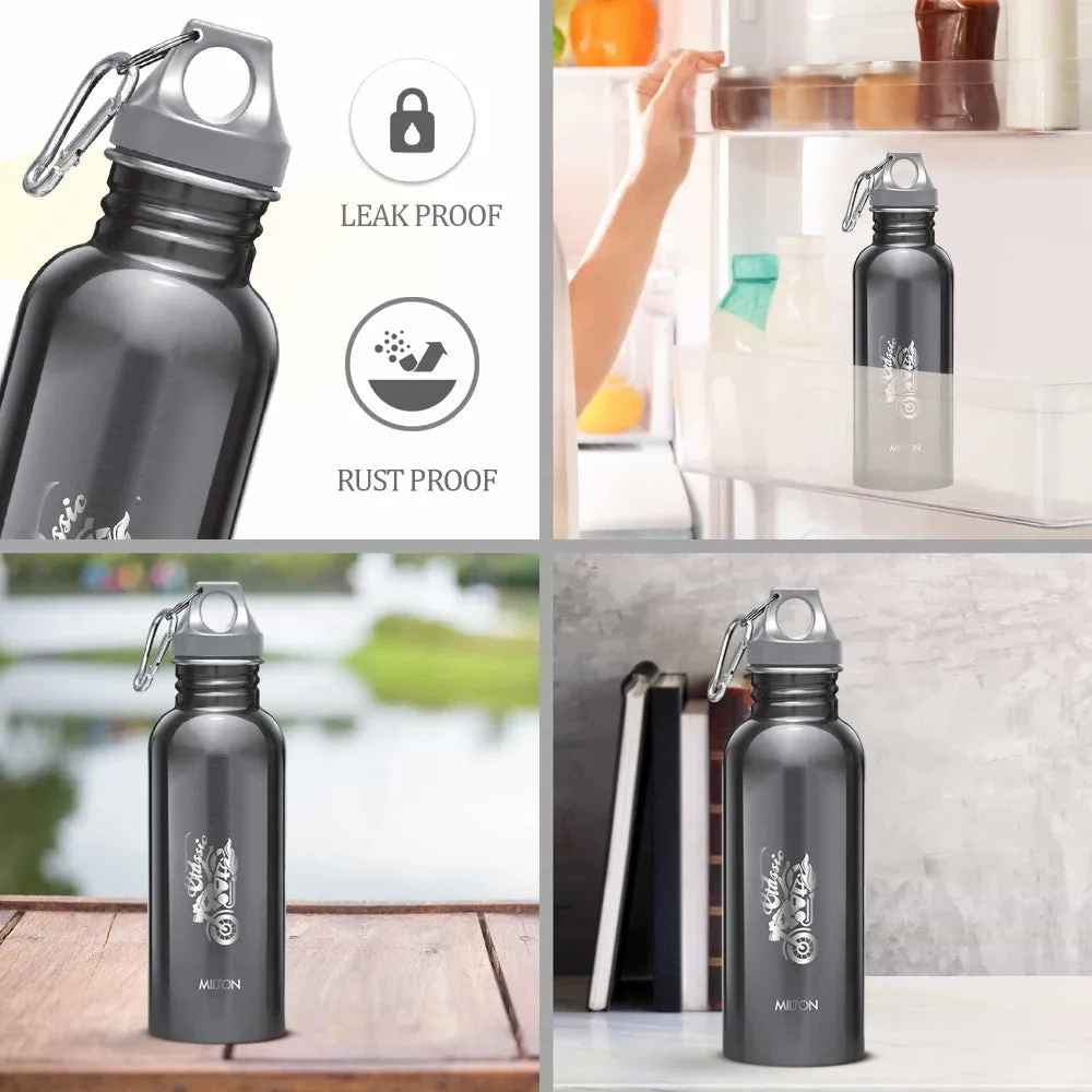 Alive Stainless Steel Bottle (Milton)