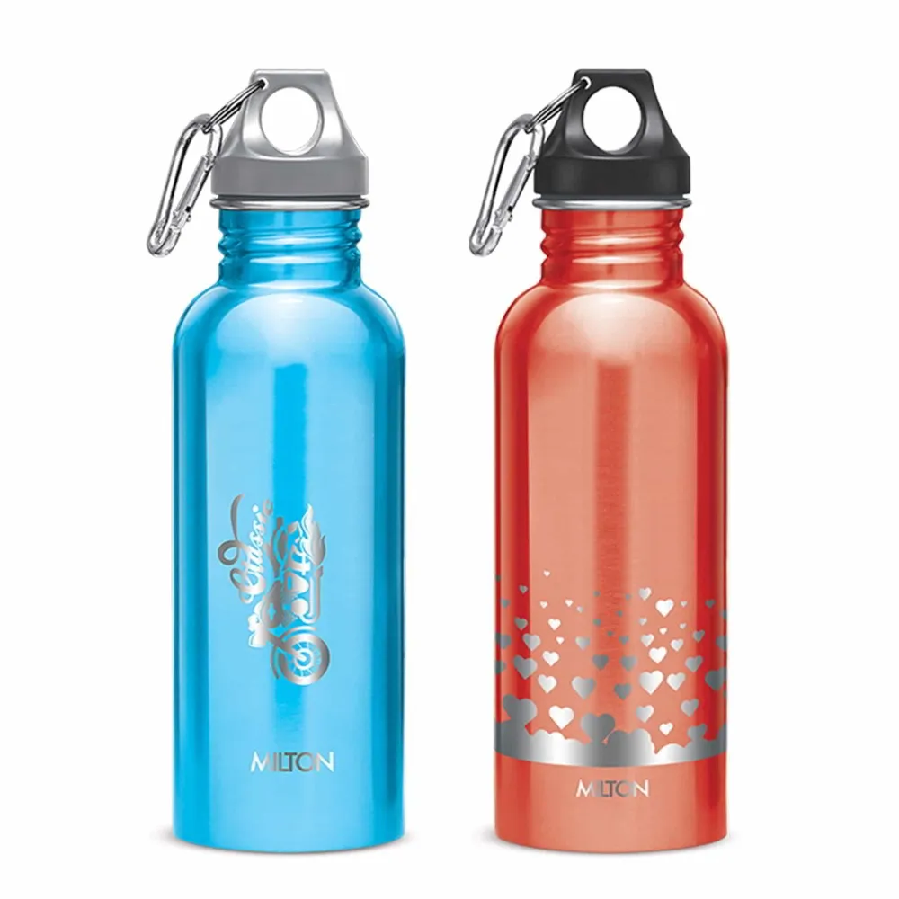 Alive Stainless Steel Bottle (Milton)