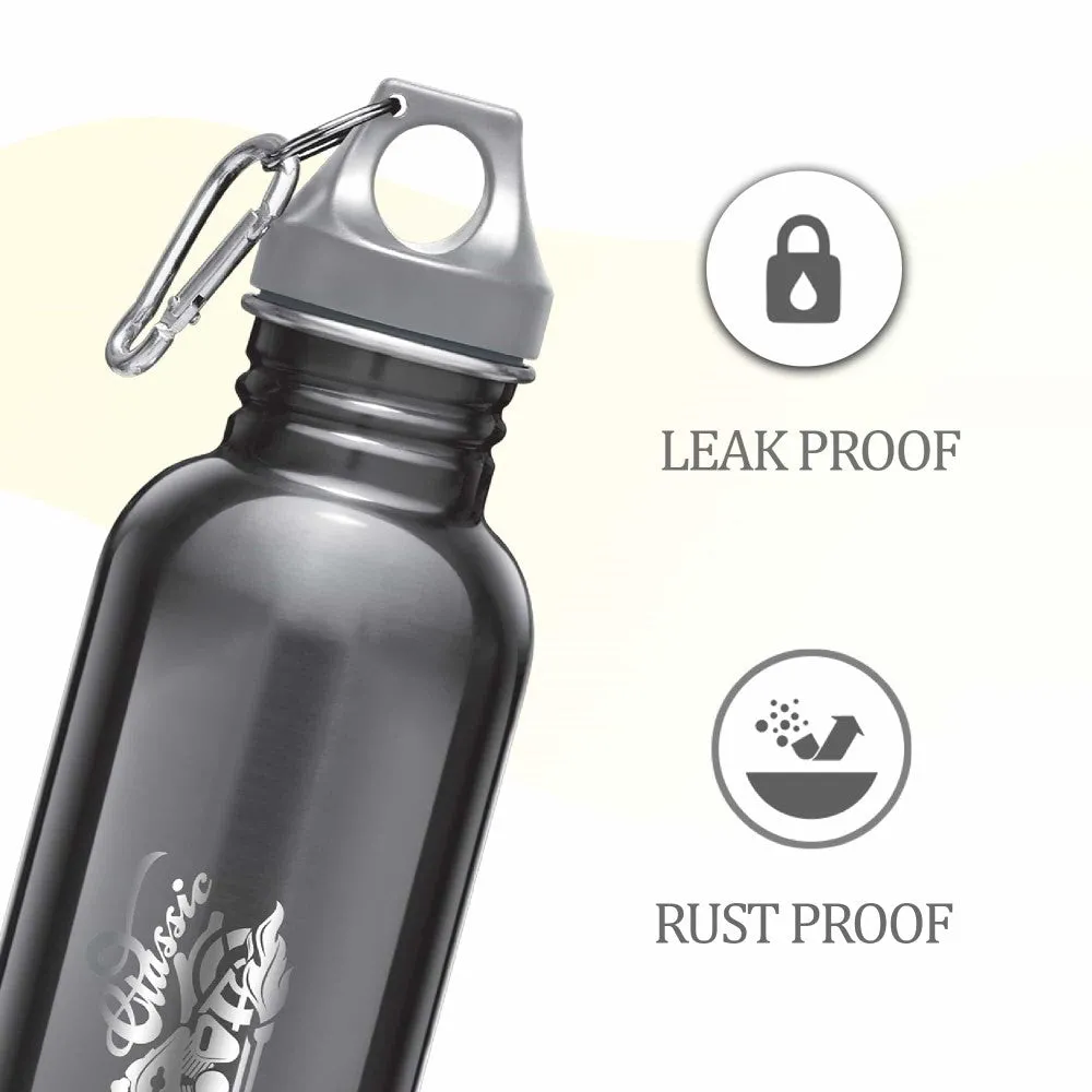 Alive Stainless Steel Bottle (Milton)