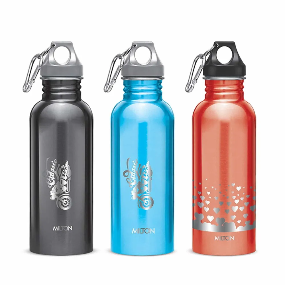Alive Stainless Steel Bottle (Milton)