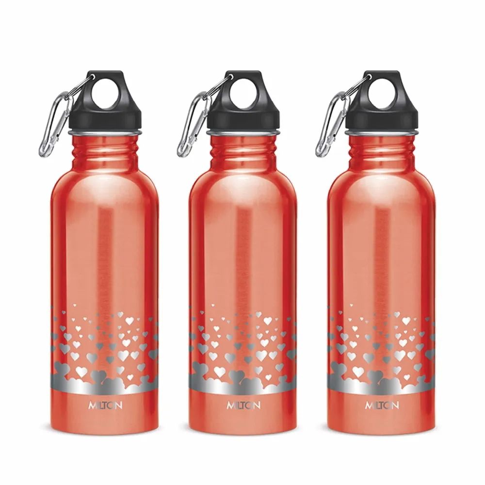 Alive Stainless Steel Bottle (Milton)