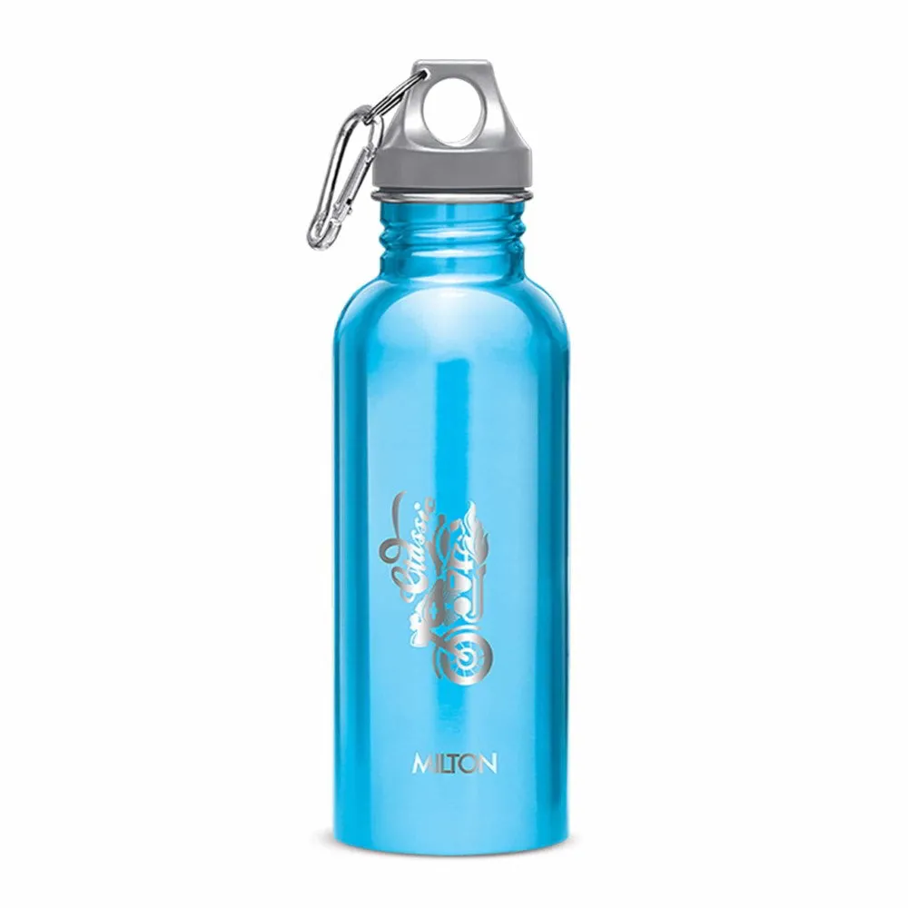 Alive Stainless Steel Bottle (Milton)