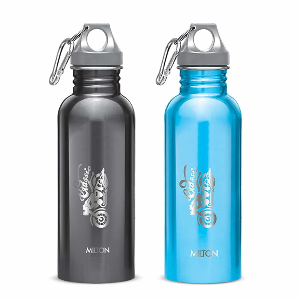 Alive Stainless Steel Bottle (Milton)