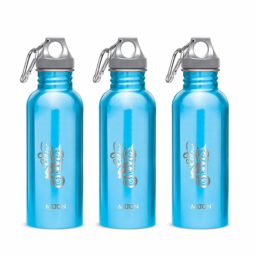 Alive Stainless Steel Bottle (Milton)