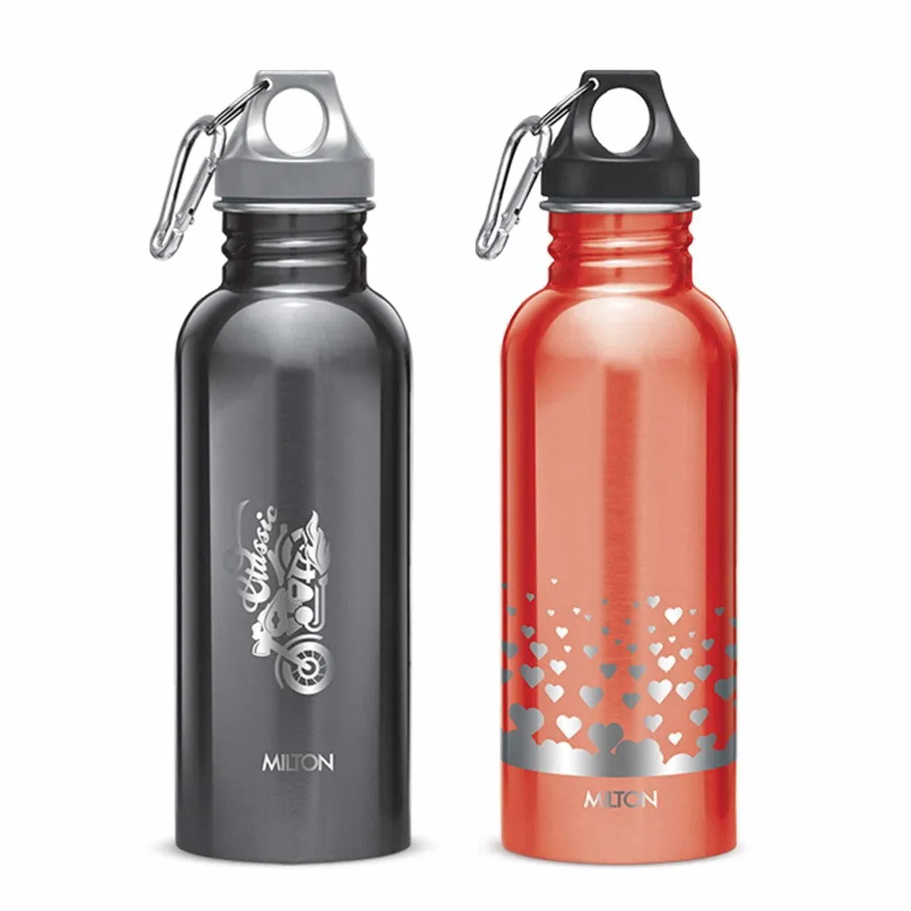 Alive Stainless Steel Bottle (Milton)