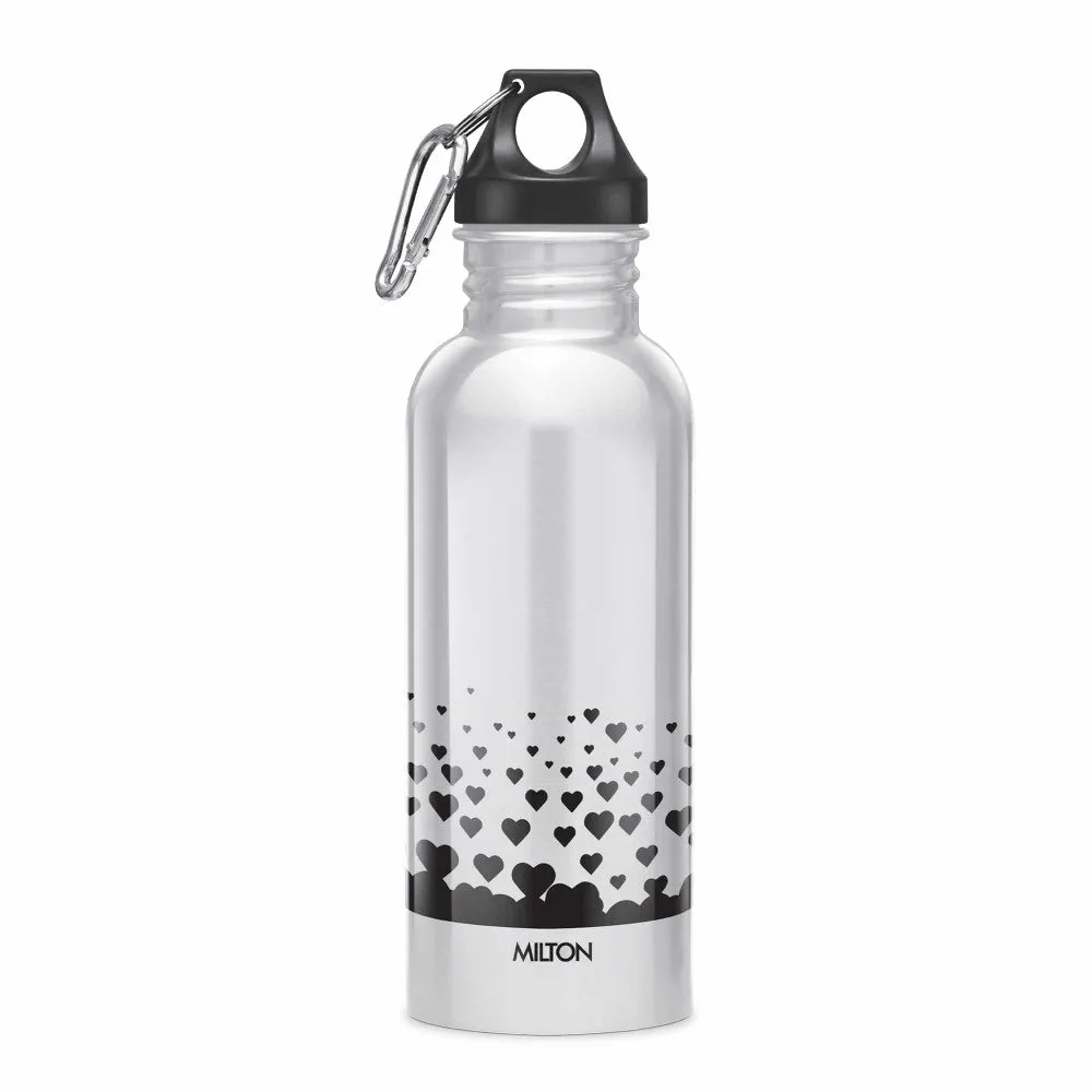 Alive Stainless Steel Bottle (Milton)