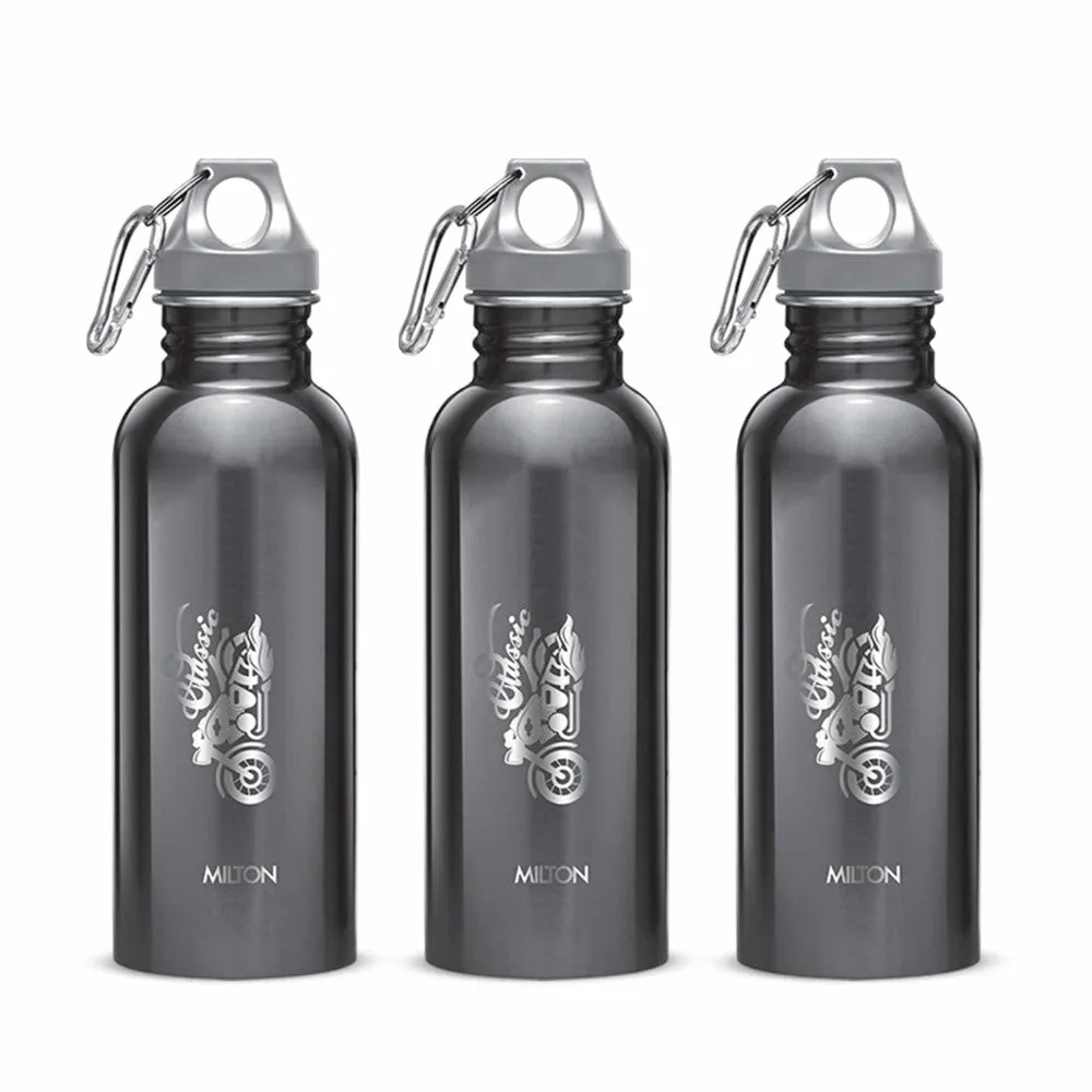 Alive Stainless Steel Bottle (Milton)