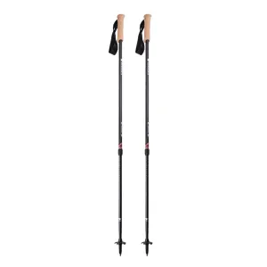 Andesite Trekking Poles