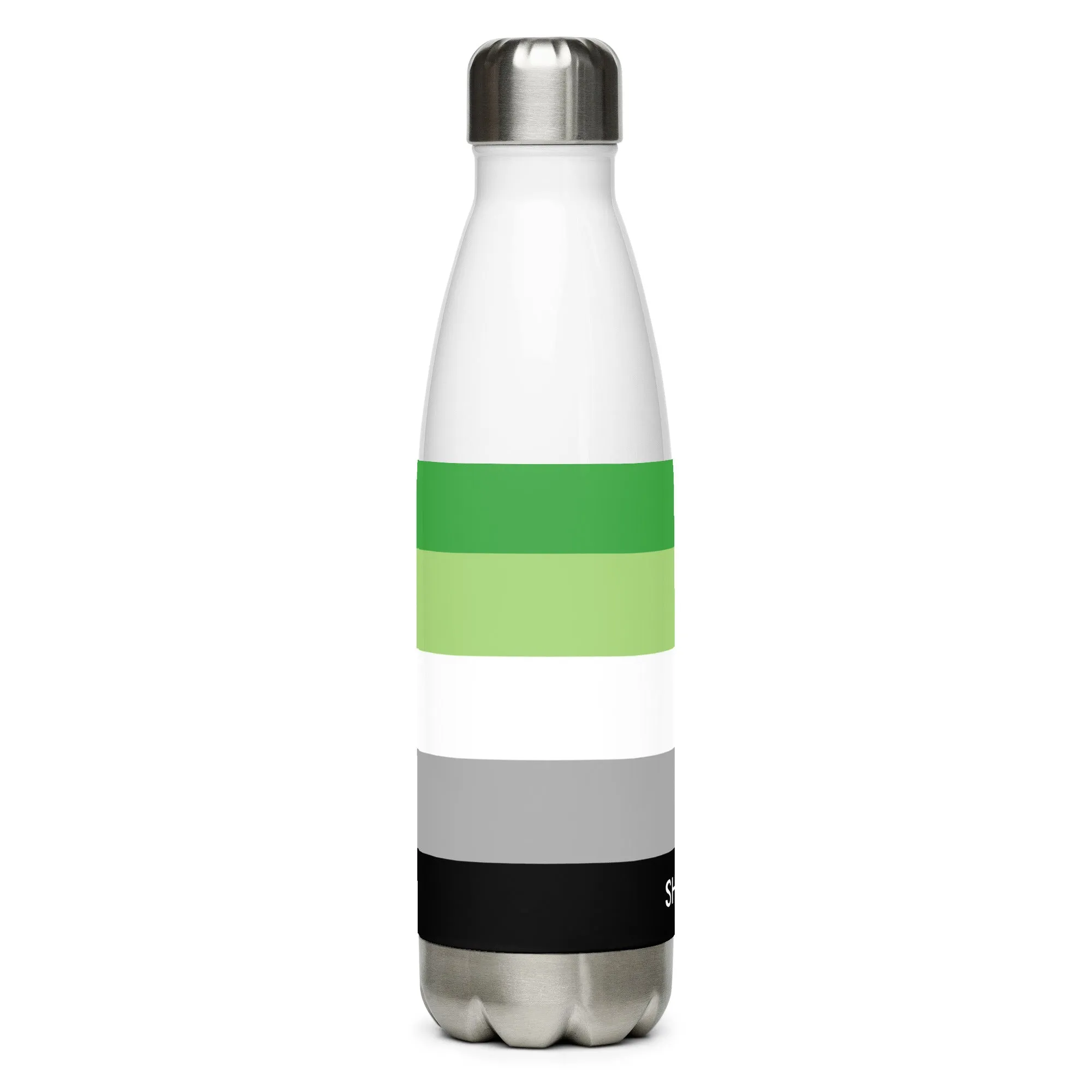 Aromantic Flag LGBTQ Stainless Steel Water 17oz Bottle