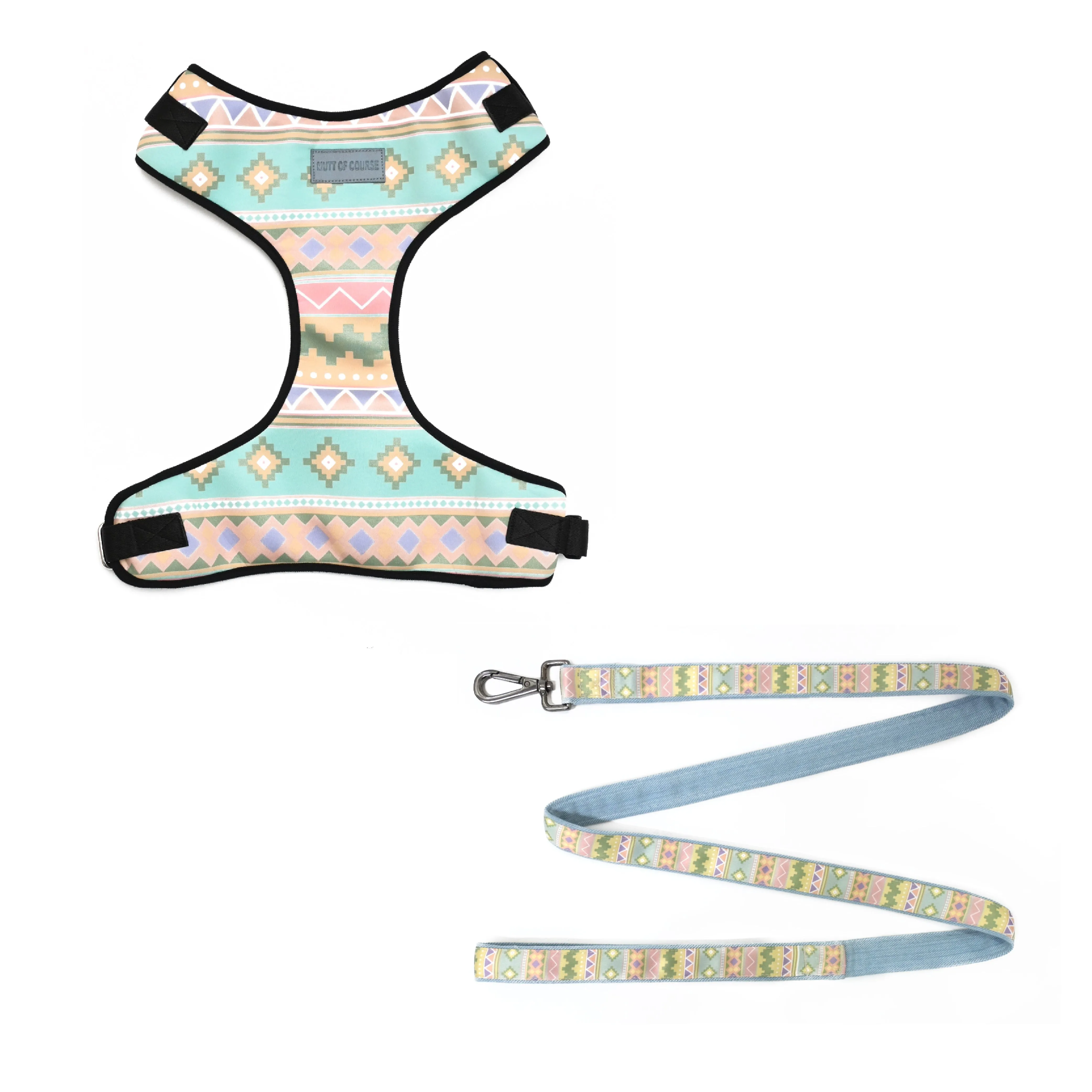 Aztec Vest Harness   Leash Set