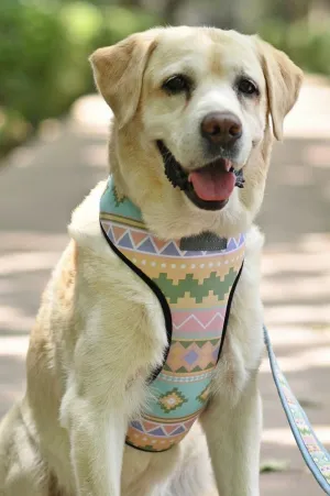 Aztec Vest Harness   Leash Set