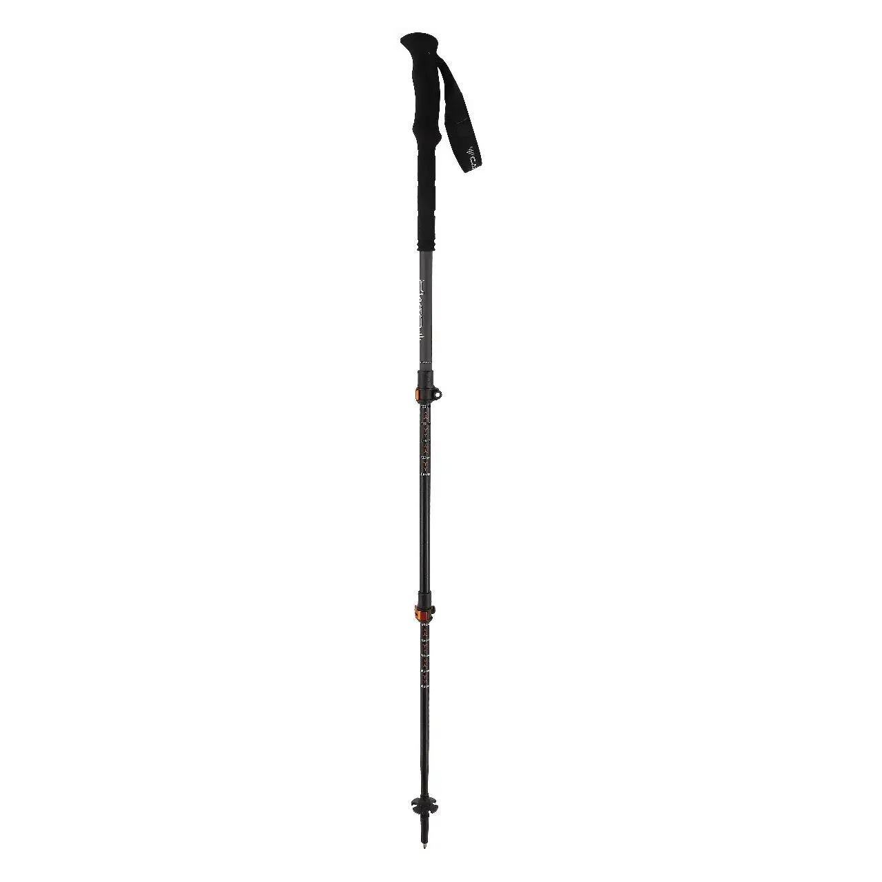 Backcountry Pro 2.0 Poles