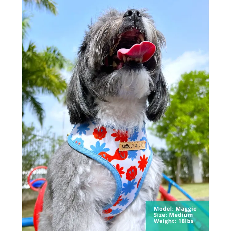 Be Happy - Reversible Dog Harness - FINAL SALE
