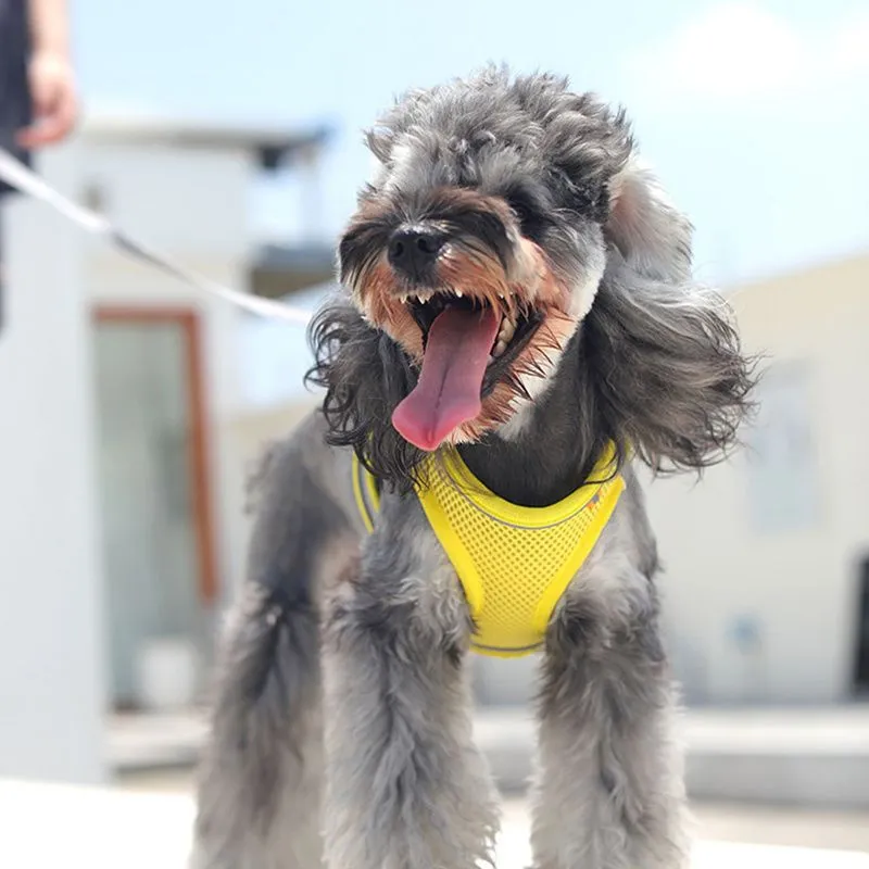 Breathable Harness Vest