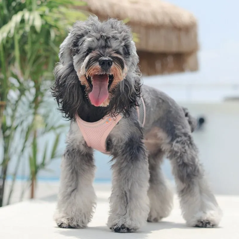 Breathable Harness Vest