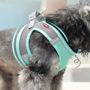 Breathable Harness Vest