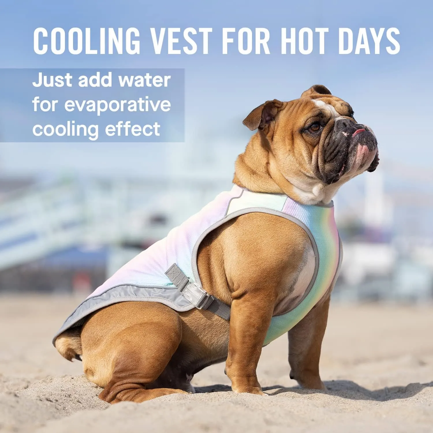 Canada Pooch Dog Cooling Vest - Evaporative Cooling Vest for Dogs with Breathable Mesh Material & Reflective Lining, Adjustable Dog Cooling Vest Great for Dogs (18 (17-19" Back Length), Rainbow)