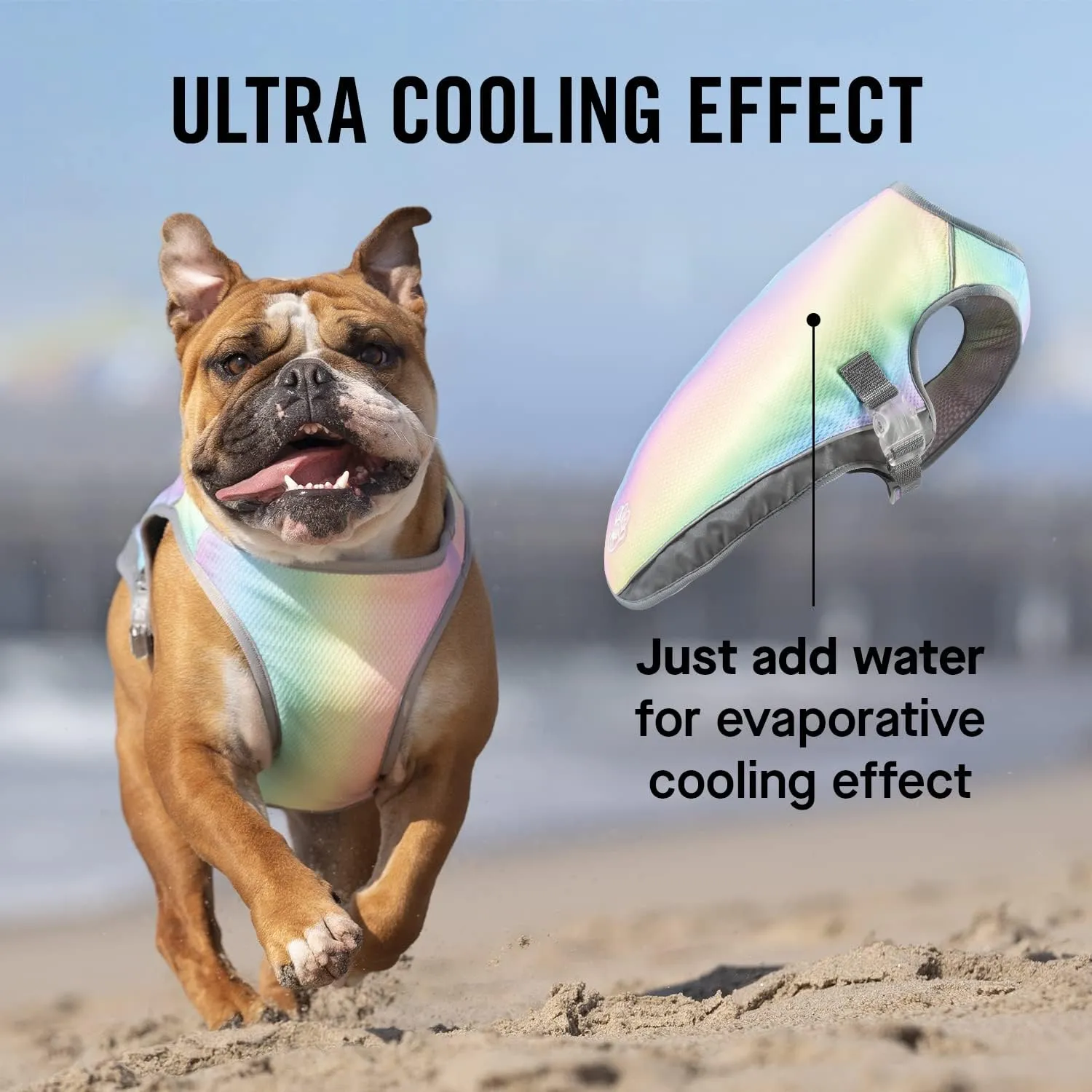 Canada Pooch Dog Cooling Vest - Evaporative Cooling Vest for Dogs with Breathable Mesh Material & Reflective Lining, Adjustable Dog Cooling Vest Great for Dogs (18 (17-19" Back Length), Rainbow)