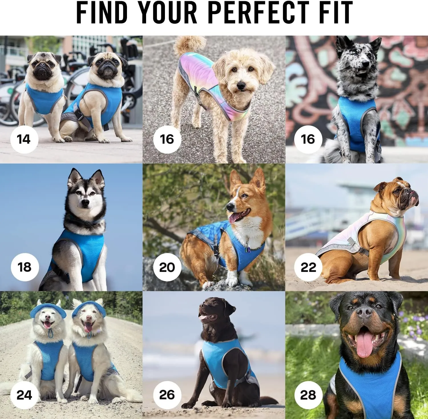 Canada Pooch Dog Cooling Vest - Evaporative Cooling Vest for Dogs with Breathable Mesh Material & Reflective Lining, Adjustable Dog Cooling Vest Great for Dogs 32 (31-33" Back Length), Rainbow