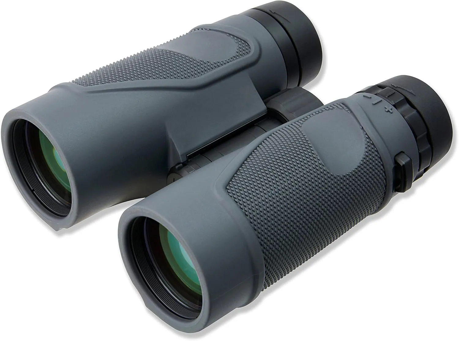 Carson 3D Series 10x42mm Binocular with High Definition Optics (TD-042)