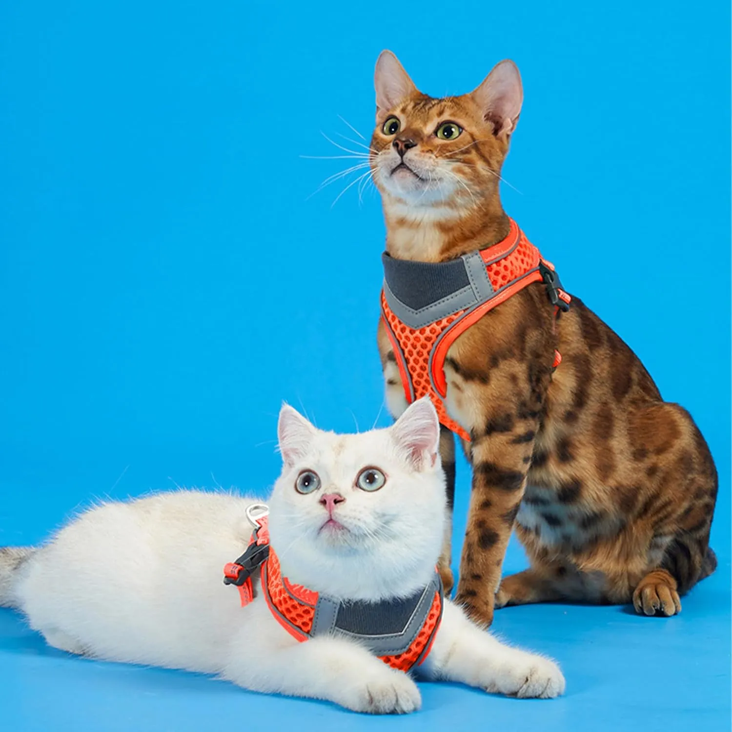 Cat Harness and Leash Set for Comfortable Outdoor Walking, Escape Proof, Adjustable Soft Kitten Vest Harness with Reflective Strip for Cats, Small Dogs (Orange, M)