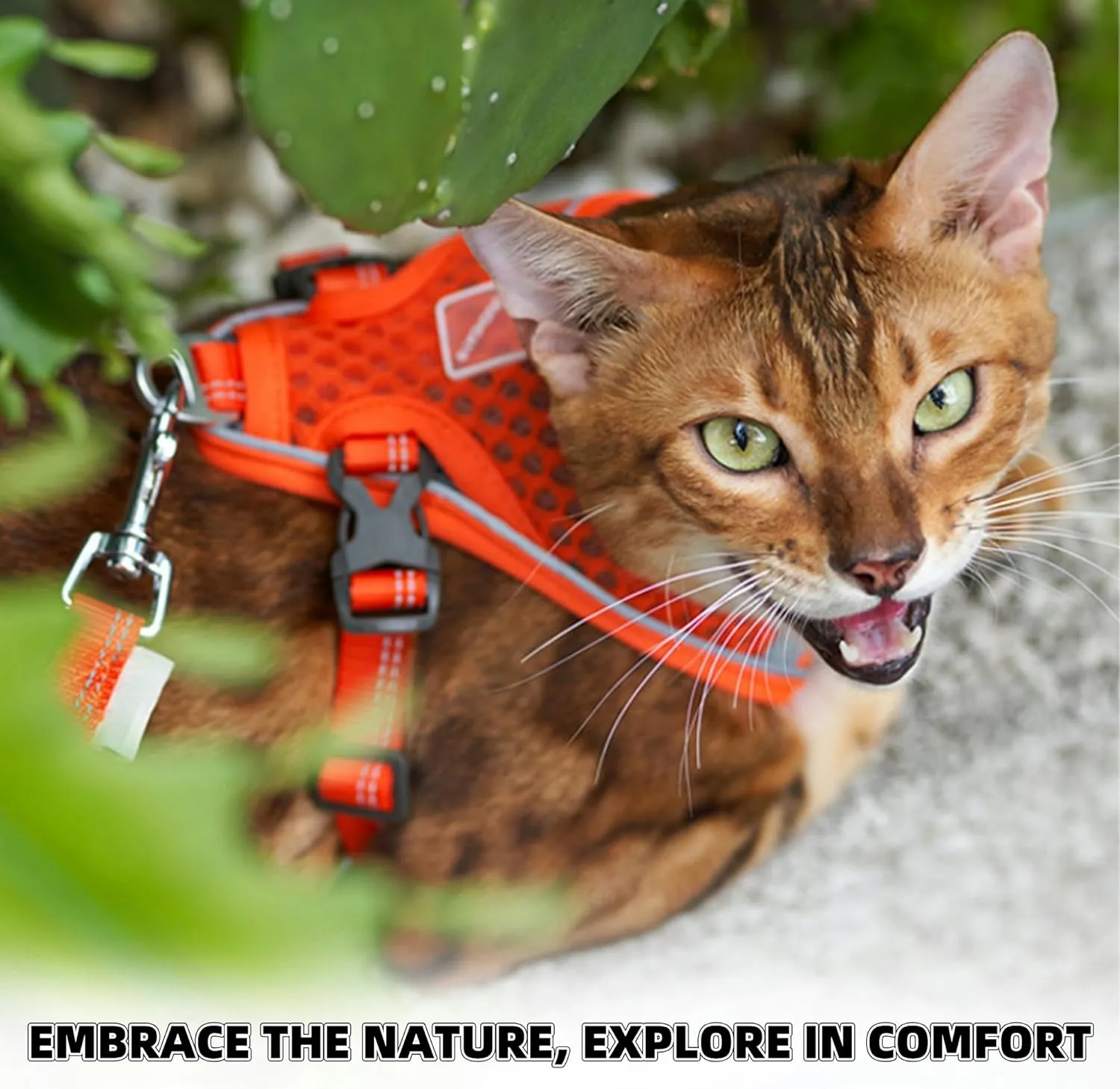 Cat Harness and Leash Set for Comfortable Outdoor Walking, Escape Proof, Adjustable Soft Kitten Vest Harness with Reflective Strip for Cats, Small Dogs (Orange, M)