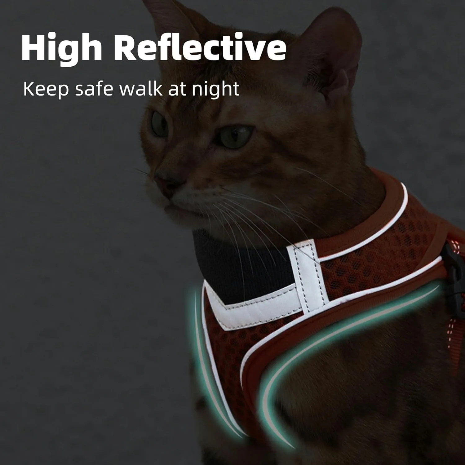 Cat Harness and Leash Set for Comfortable Outdoor Walking, Escape Proof, Adjustable Soft Kitten Vest Harness with Reflective Strip for Cats, Small Dogs (Orange, M)