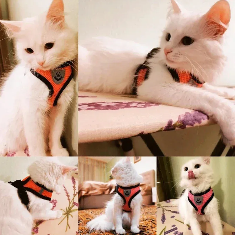 Cat Harness Vest Walking Lead Leash Collar Polyester - Adjustable  Pet Accessories