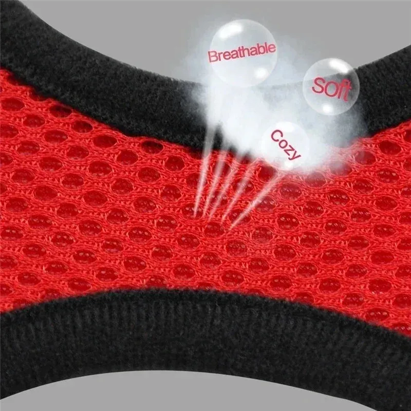 Cat Harness Vest Walking Lead Leash Collar Polyester - Adjustable  Pet Accessories