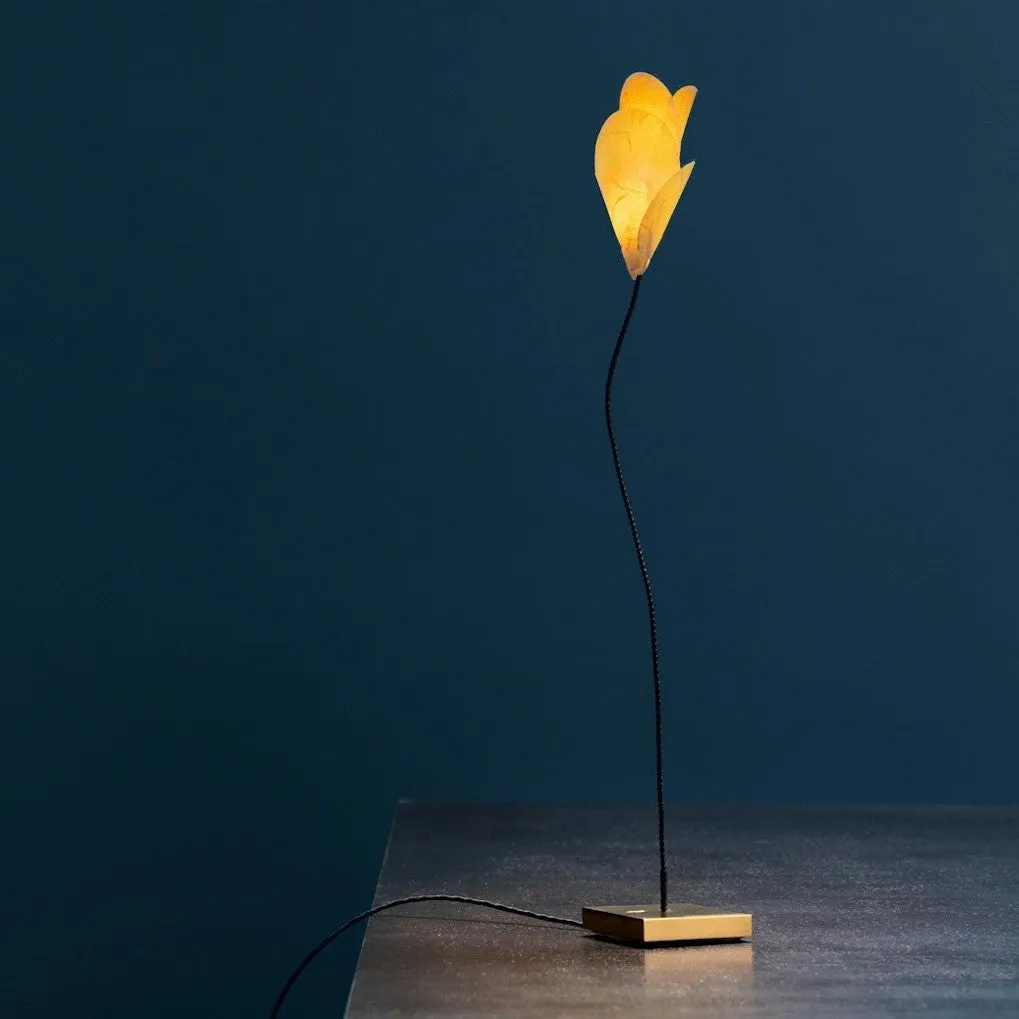 Catellani & Smith For You USB Table Lamp