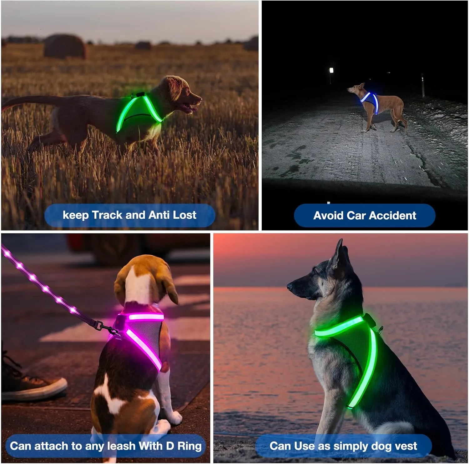 ChalkLit Light Up Dog Harness, No Pull Led Dog Harness Glow-in-The-Dark for Night Walking, USB Rechargeable Lighted Safety Vest for Medium Large Dogs, Adjustable Soft Mesh Fully Illuminated (Blue, L)