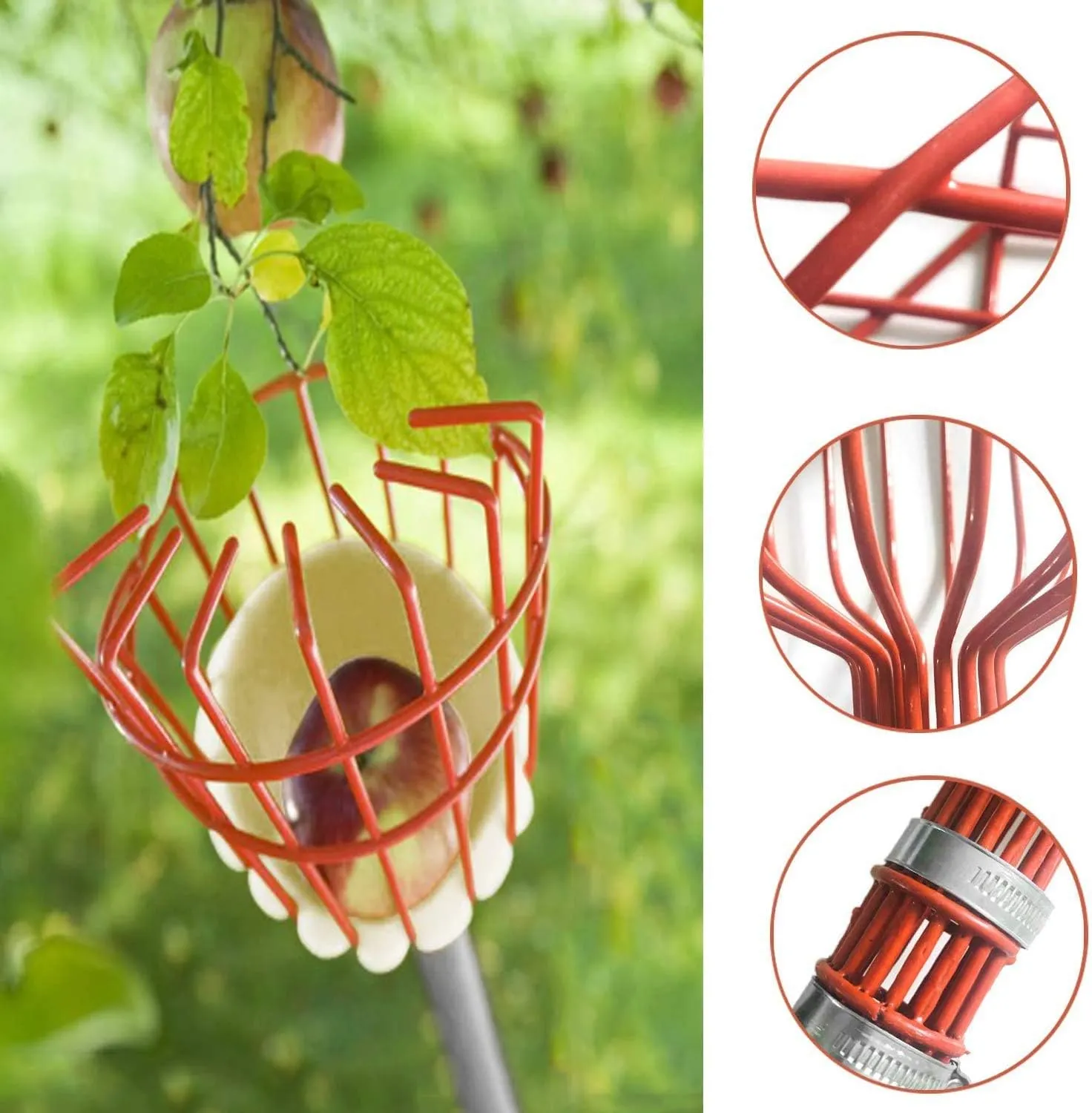 COCONUT Fruit Picker Pole with Basket Telescoping, 10 FT Fruit Picker Tool for Mango Orange Lemon Apple, Fruits Catcher Tree Picker for Getting Fruits
