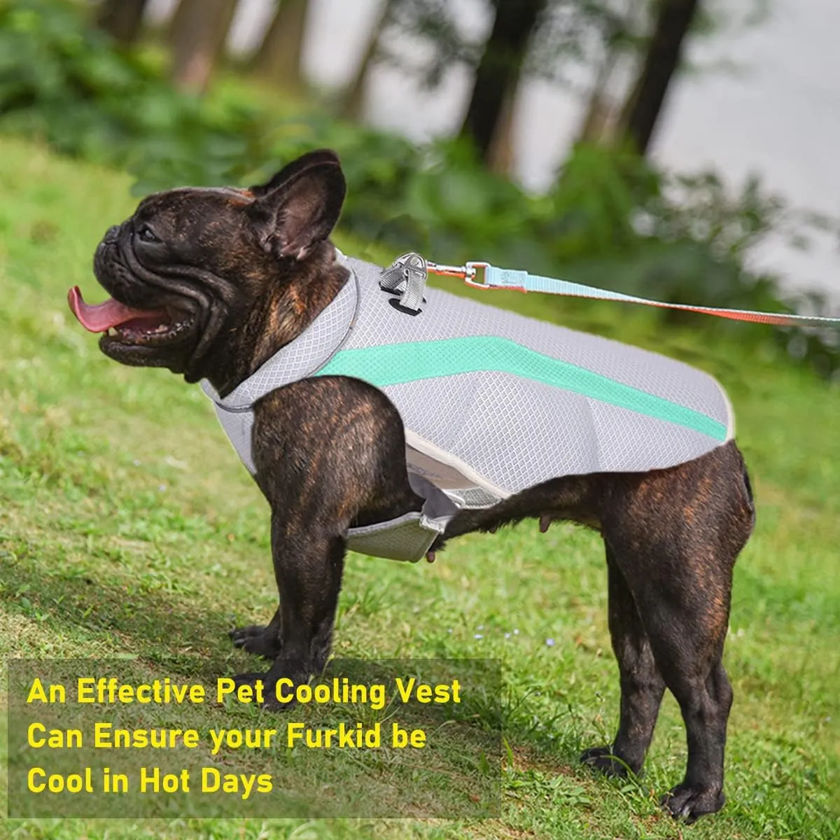 Cooling Vest Harness Cooling Shirt for Dogs Vest with Reflective Strip Harness for Medium Dog Lightweight Dog Summer Clothes